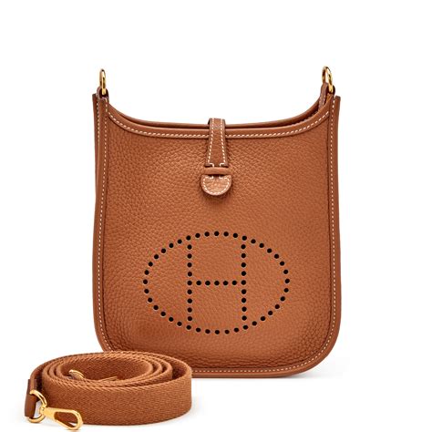 hermes evelyne iii 16 mini tpm|Hermes evelyne tpm price 2019.